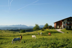 Aschbacher Hof